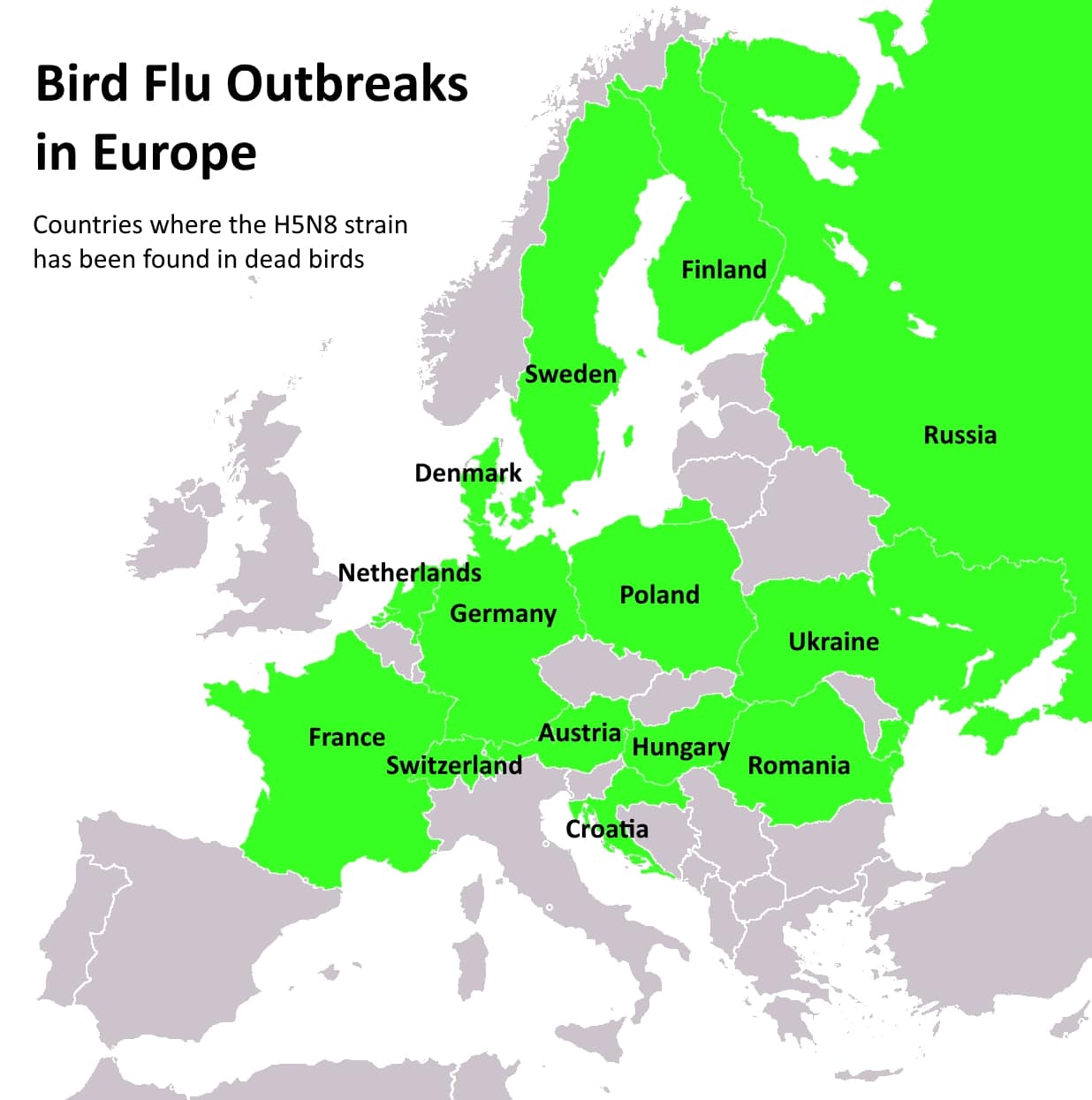 Bird Flu Should we be worried? Acer Ecology